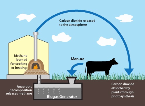 กระบวนการผลิตไบโอแก๊ส ไบโอก๊าซ Biogas แก๊ส ชีวภาพ